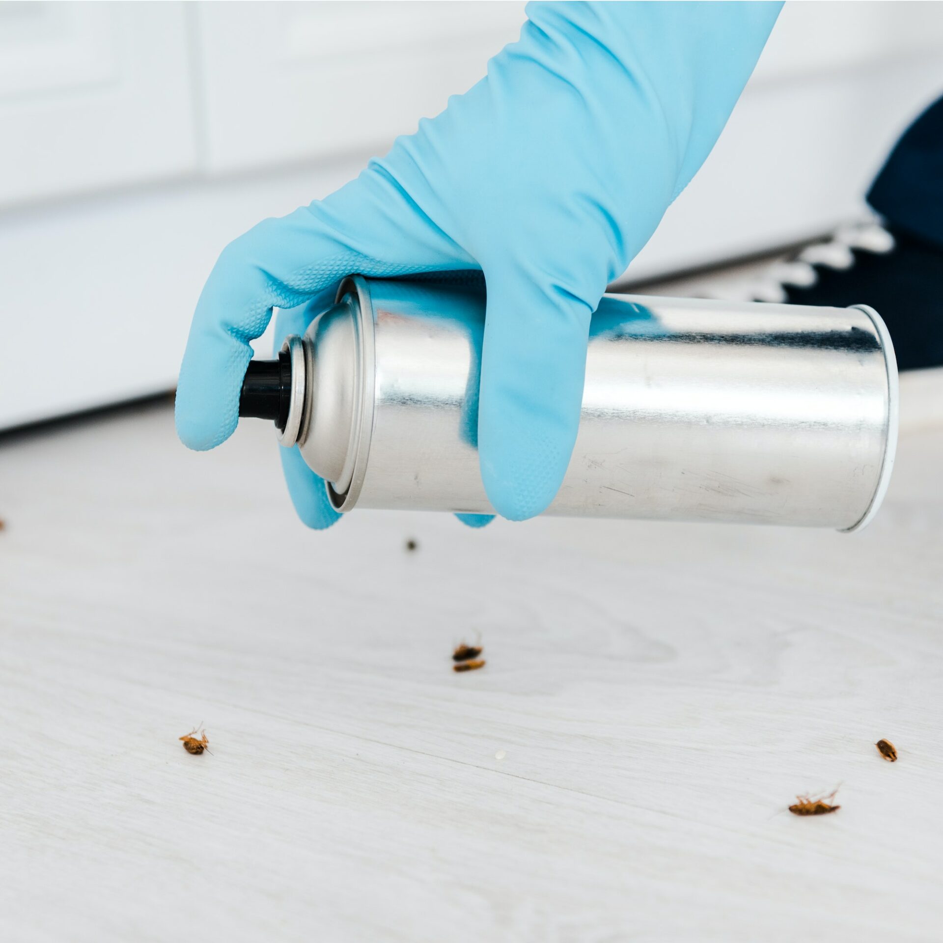 close up of exterminator holding toxic spray can near insects on floor